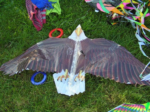 pa150067_resize